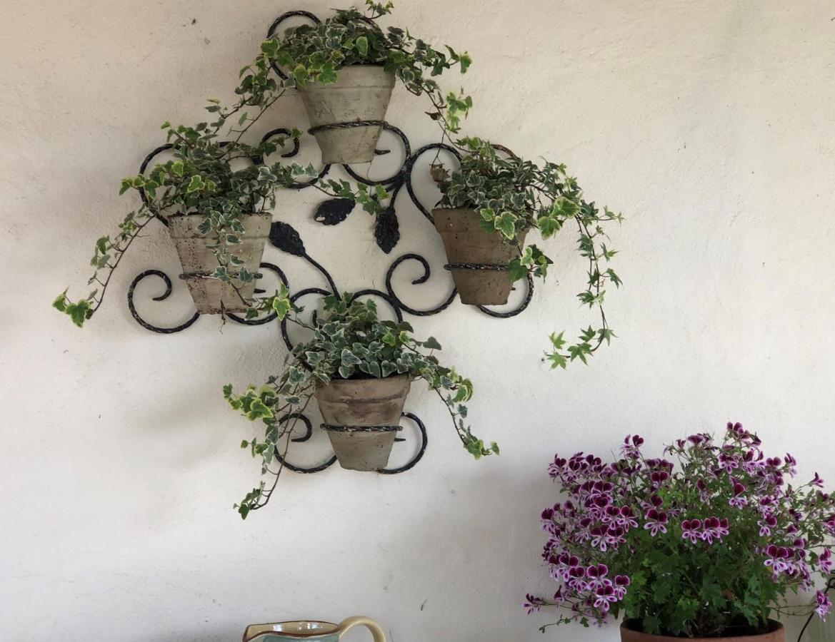 Maison Lamothe Flamarens エクステリア 写真